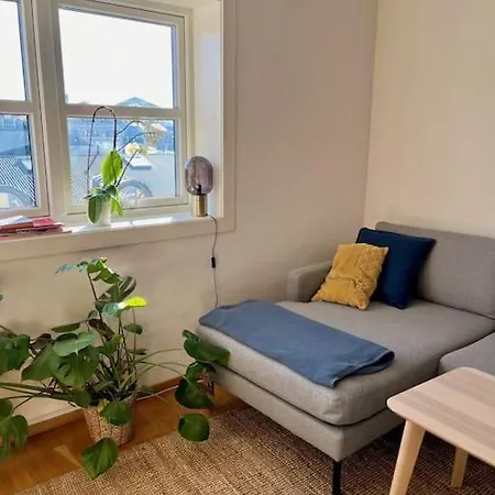 Apartman Sentral Vika-leilighet *